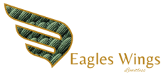 Eagles wings Aerospace
