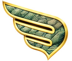 Eagles wings Aerospace